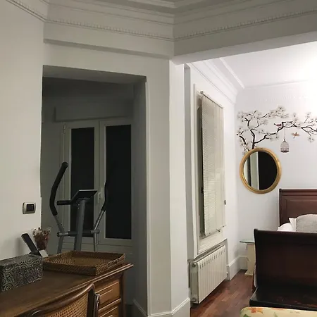 Homestay Grande Y Confortable Con Bano Privado Junto A Guggenheim Bilbao